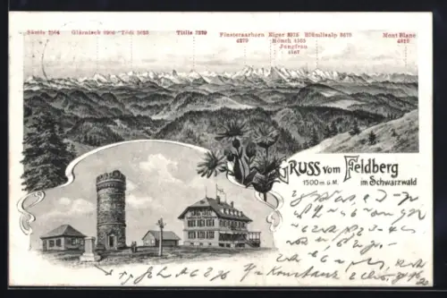 Lithographie Feldberg im Schwarzwald, Feldbergturm mit Gasthaus, Bergpanorama