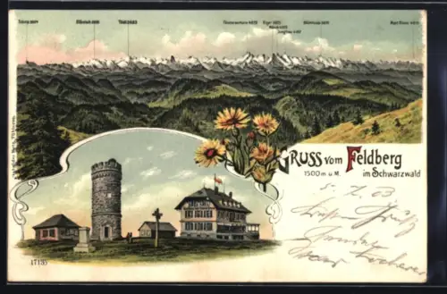 Lithographie Feldberg im Schwarzwald, Gasthaus und Feldbergturm, Bergpanorama mit Blumen