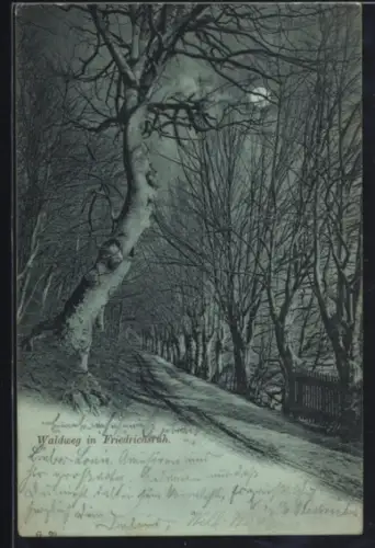 Mondschein-AK Friedrichsruh, Waldweg