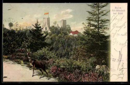 AK Bühl, Ruine Alt-Windeck, Waldlandschaft, Reh