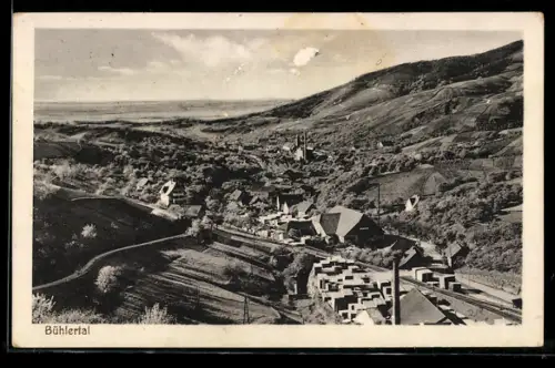 AK Bühlertal, Ortsansicht im Tal mit Kirche und umliegenden Weinbergen
