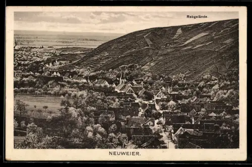 AK Neuweier, Ortsansicht, Rebgelände