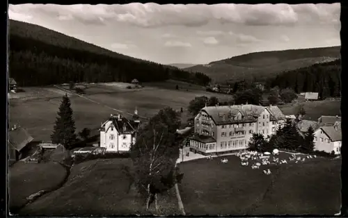 AK Herrenwies /Nordschwarzwald, Kurhaus Herrenwies mit Auerhahnstüble