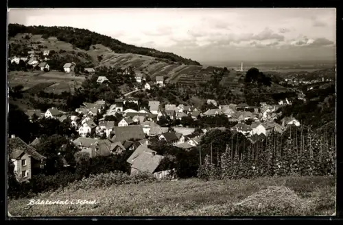 AK Bühlertal i. Schw., Ortsansicht mit Weinbergen und Häusern