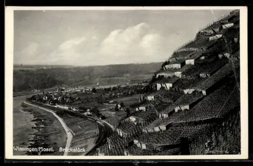 AK Winningen /Mosel, Brückstück aus der Vogelschau