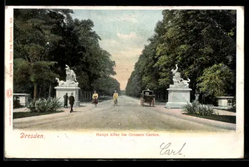 AK Dresden, Haupt Allee im Grossen Garten
