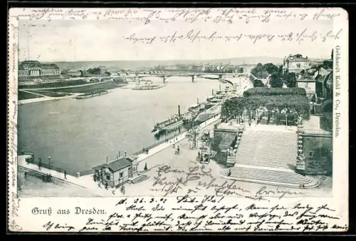 AK Dresden, Flusspartie mit Anlegestellen, Brühlsche Terrasse