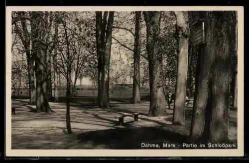 AK Dahme /Mark, Partie im Schlosspark