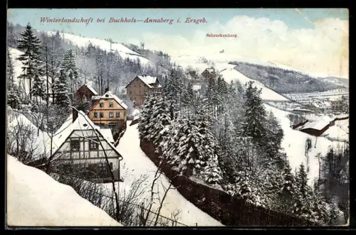 AK Buchholz-Annaberg i. Erzgeb., Panorama mit Schreckenberg im Schnee