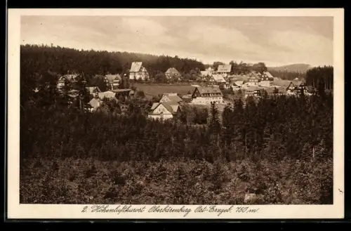 AK Oberbärenburg /Ost-Erzgeb., Teilansicht
