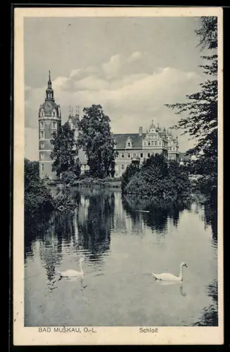 AK Bad Muskau /O.-L., Schloss mit Schwanenteich