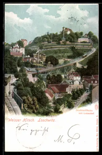 AK Dresden-Weisser Hirsch, Drahtseilbahn mit Gasthaus Luisenhof vom Burgberg aus gesehen