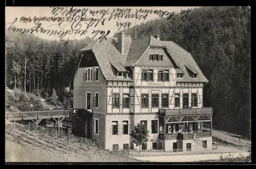 AK Bad Salzdetfurth, Hotel Waldhaus mit Umgebung