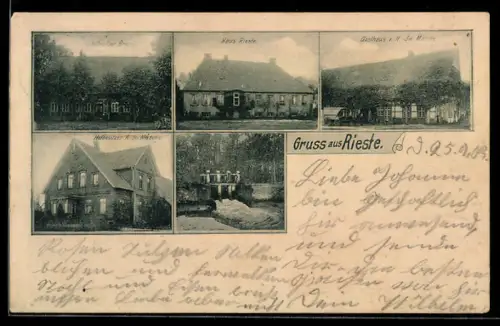 AK Rieste / Bersenbrück, Gasthaus v. H. Im. Masche, Haus Rieste, Hof Brackel