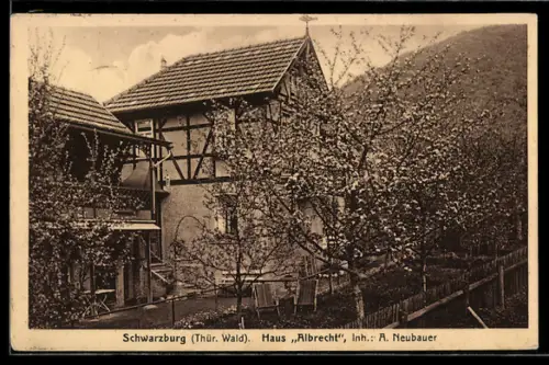 AK Schwarzburg /Thürg. Wald, Hotel Haus Albrecht