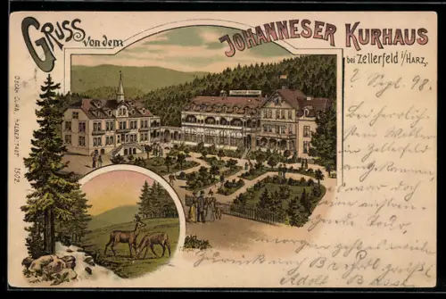 Lithographie Clausthal-Zellerfeld, Hotel Johanneser Kurhaus