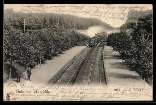AK Aumühle, Bahnhof mit einfahrender Bahn, Blick von der Brücke