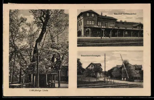 AK Grimmenthal, Bahnhof, 1100 jährige Linde, Beamtenwohnungen