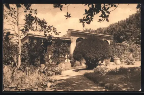 AK Castel Gandolfo, Giardino Villa Barberini