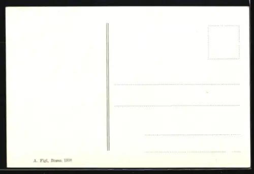 AK Merano, Panorama mit Iffinger