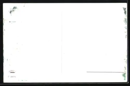 AK Merano, Castel del Gatto