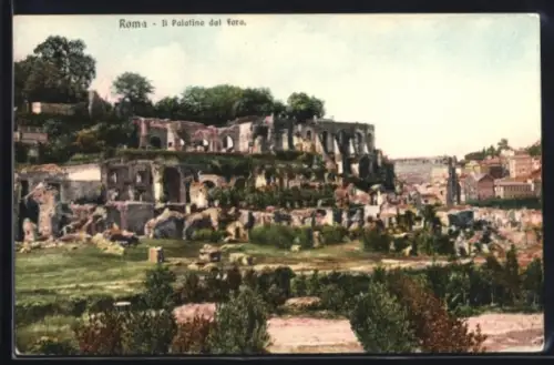 AK Roma, Il Palatino dal Foro