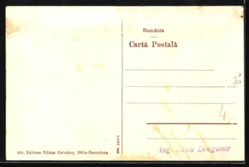 AK Baile-Herculane, Total