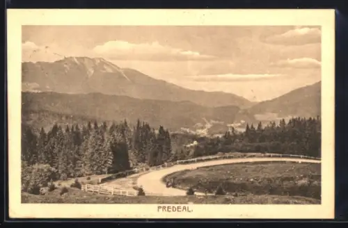 AK Predeal, Landstrasse und Gebirgspanorama