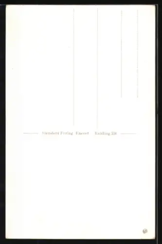 AK Kolding, Koldinghus