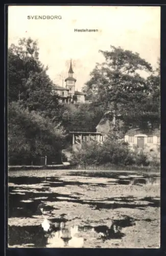 AK Svendborg, Hestehaven