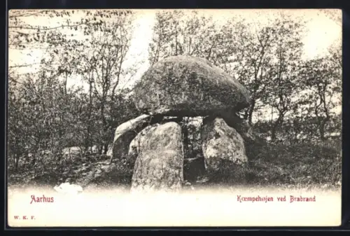 AK Aarhus, Koempehojen ved Braband