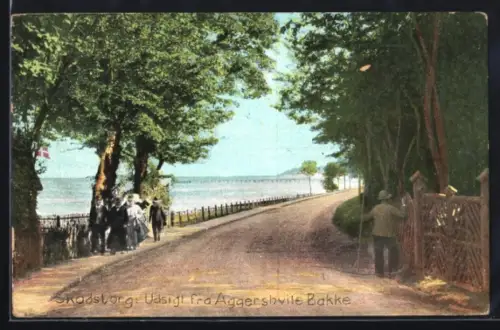 AK Skodsborg, Udsigt fra Aggershvile Bakke