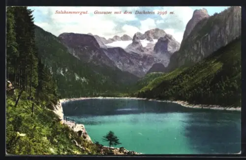 AK Gosausee /Salzkammergut, Panorama mit Dachstein