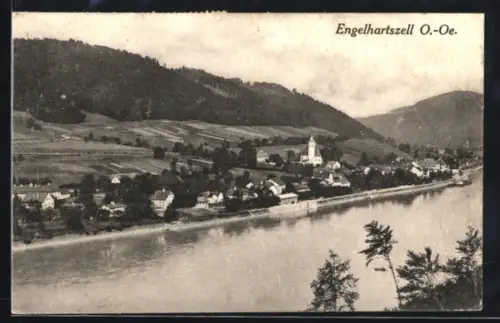 AK Engelhartszell, Ortsansicht mit der Kirche und der Donau