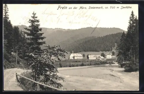 AK Frein an der Mürz, Teilansicht mit Kirche und Mürz, Wälder