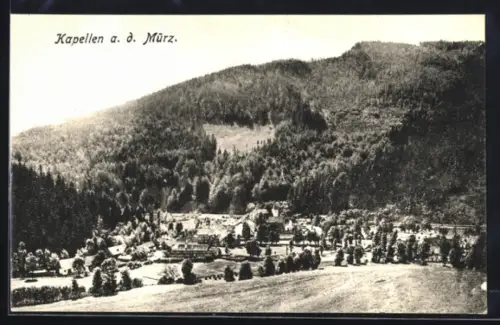 AK Kapellen a. d. Mürz, Ortspartie