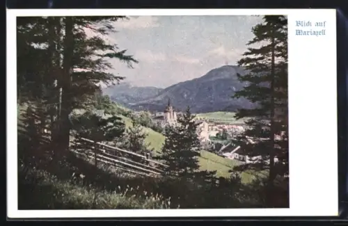 AK Deutscher Schulverein NR 910: Mariazell, Totalansicht