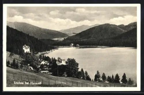 AK Mariazell, Erlafsee