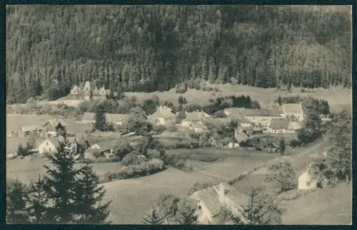 AK Mürzsteg, Ortsansicht vom Brunntalgraben aus