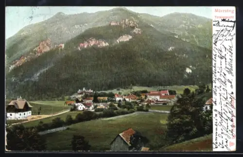 AK Mürzsteg, Totalansicht