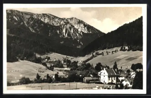 AK Mürzsteg a. d. Mürz, Ortspartie