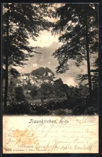 AK Traunkirchen /Ob.-Oe., Teilansicht