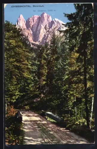 AK Johnsbachtal /Steiermark, Waldweg und Grosser Oedstein