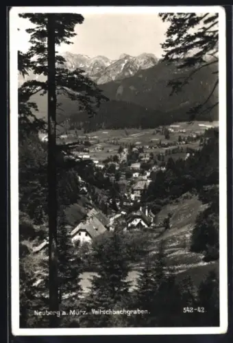 AK Neuberg a. Mürz, Veitschbachgraben