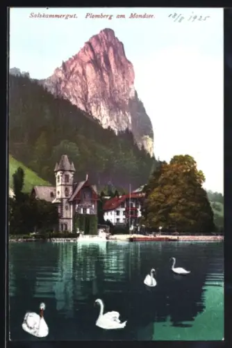 AK Plomberg a. M., Schwäne auf dem Mondsee