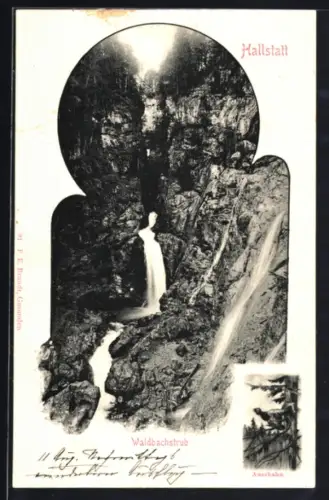 AK Hallstatt, Waldbachstrub, Auerhahn