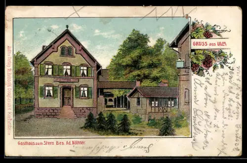 Lithographie Ulm /Lichtenau, Gasthaus zum Stern A. Nöltner, Weintrauben