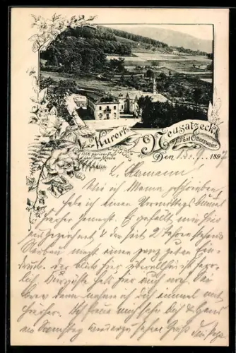 AK Neusatzeck, Teilansicht des Ortes mit Umgebung