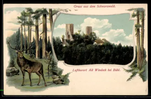 AK Alt Windeck, Ortsansicht, Hirsch