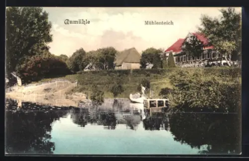 AK Aumühle, Mühlenteich